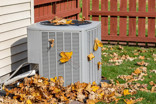 Best Local HVAC Companies  in Picayune, MS